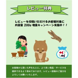 観葉植物 化粧石 鉢 化粧砂 ポット ガーデニ...の詳細画像5