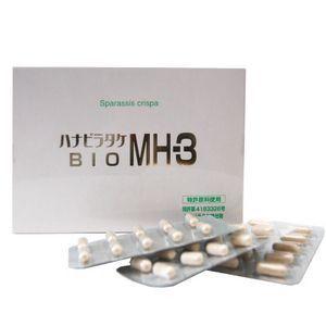  ハナビラタケ BIO MH-3 320mg×60カプセル 