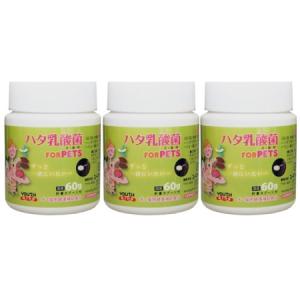 新品未使用 ハタ乳酸菌　FOR PETS 60g ×3個セット 新品未使用 ハタ乳酸菌 FOR PETS 60g ×3個 - メルカリ