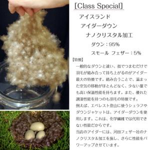 羽毛中厚掛け布団 クイーンロング 210×21...の詳細画像2