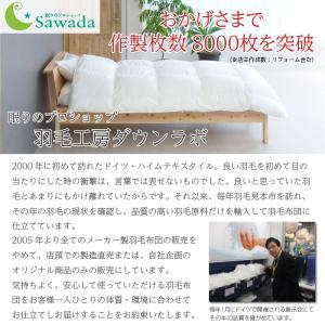 羽毛中厚掛け布団 クイーンロング 210×21...の詳細画像4