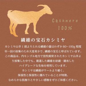イタリアLOMBARDA社製 カシミヤ毛布 シ...の詳細画像3