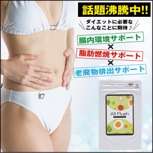 ダイエットサプリ オールフラッシュ 90粒 約1カ月分 ダイエット サプリ