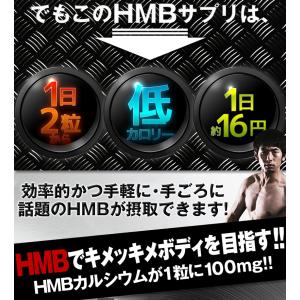 healthylife HMB 大容量約6か月...の詳細画像5