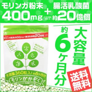 公式ショップ 正規品 1袋 単品 ボディマスター BODYMASTER HMB NMN