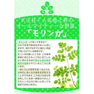 モリンガ サプリメント サプリ 乳酸菌 モリン...の詳細画像2
