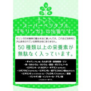 モリンガ サプリメント サプリ 乳酸菌 モリン...の詳細画像4