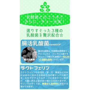 モリンガ サプリメント サプリ 乳酸菌 モリン...の詳細画像5