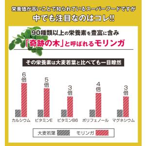 スラリードリッチバナナスムージープレミアム 1...の詳細画像5