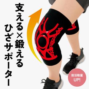 織田式ひざを鍛えるひざサポーター 左右兼用2枚入り 織田式テーピング理論で膝をサポート 支える×鍛える ラジウム ブラックシリカ
