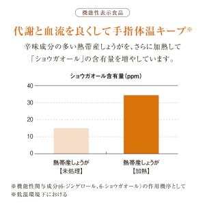 ヴェーダヴィ ジンジャーペーストEX 240g...の詳細画像2