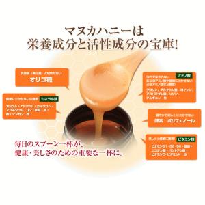マヌカハニー MG100+ ヴェーダヴィ 自然...の詳細画像2