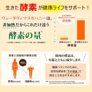 マヌカハニー MG100+ ヴェーダヴィ 自然...の詳細画像4