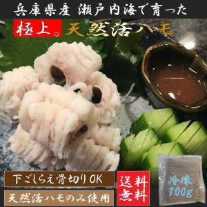 鱧の商品一覧 通販 Yahoo ショッピング