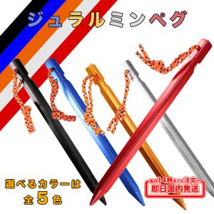 ジュラルミン ペグ 18cm ポーチ付き アルミ 合金製 アウトドア テント 軽量 用品 登山 イベント 野外 テント設営 防災 運動会 ソロキャンプ コスパ 10本