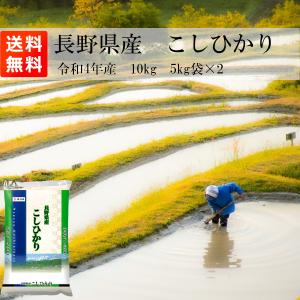 こしひかり 10kg (5kg*2) 令和3年産 長野県産 米 お米