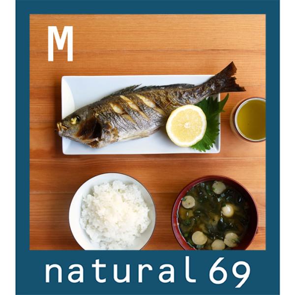 和食器 おしゃれ 波佐見焼 白山陶器 皿 TIMES プレートM 長角皿 natural69 結婚式...