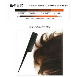 ラジャスタンヘナ ミディアムブラウン 自然な茶...の詳細画像5