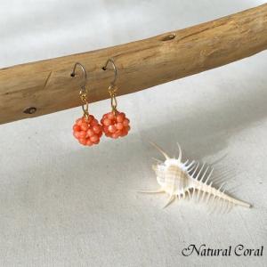 ピンク珊瑚 ぴんくさんご サンゴ　ピアス ボンボン ナチュラルコーラル｜naturalcoral