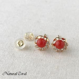 珊瑚専門店 Natural Coral - Yahoo!ショッピング