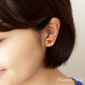 血赤珊瑚 ちあかさんご イヤリング 雫形立体 ナチュラルコーラル B
