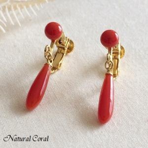 宝石珊瑚のSANSUI 血赤 珊瑚 ピアス フック ドロップ K18