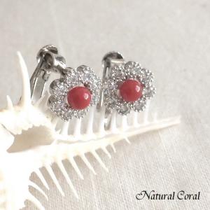 血赤珊瑚 ちあかさんご イヤリング 雫形立体 ナチュラルコーラル B