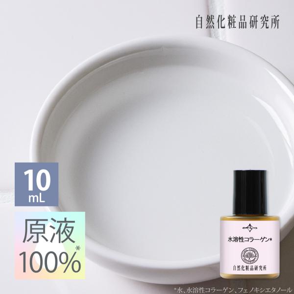 水溶性コラーゲン 10mL 美容液 スキンケア 保湿