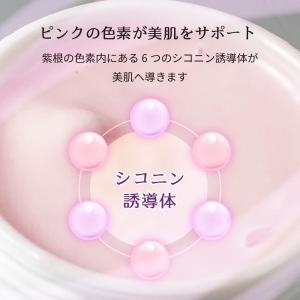 保湿クリーム 紫根 35g エイジングケア 年...の詳細画像4