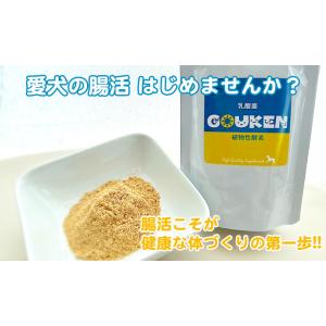 GOUKEN 植物性酵素+乳酸菌 100g《ナチュラルドッグライフ★オリジナルブレンド》