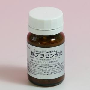 天然100% 馬プラセンタ 原末　15g