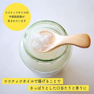 塩バナナチップス 150g 鹿児島錦江湾の塩 ...の詳細画像3