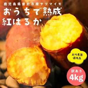 おうちで熟成 紅はるか 鹿児島県曽於市産さつまいも 4kg (訳あり) 農業歴 50年のベテラン 農家の作る 美味しいサツマイモ スイーツ 簡単おやつ 甘辛煮 デザート｜naturalhills