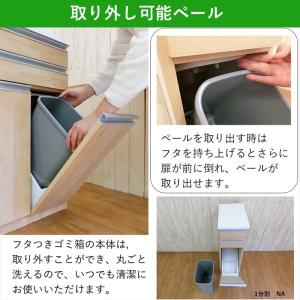 ゴミ箱 ダストボックス カウンター 1分別 ス...の詳細画像4