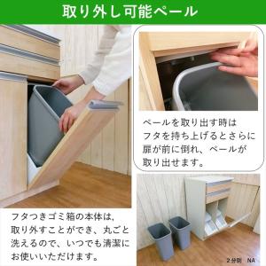 ゴミ箱 ダストボックス カウンター 2分別 お...の詳細画像4