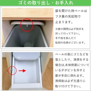 ゴミ箱 ダストボックス カウンター 2分別 お...の詳細画像5