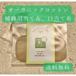 中から腸を整える！】ジェイソンウィンターズ Bio+Pl us バイオプラス