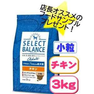 SELECT BALANCE (選べるプレゼント付き)セレクトバランス SELECT BALANCE (選べるプレゼント付き)セレクトバランス