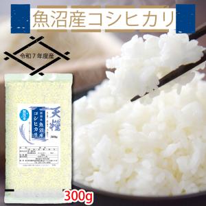お試し価格 1000円ポッキリ 令和7年 魚沼産...の商品画像