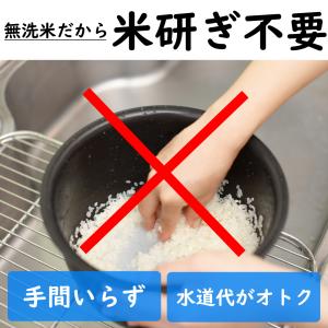 お試し価格 1000円ポッキリ 令和7年 魚沼...の詳細画像1