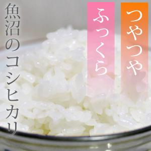 お試し価格 1000円ポッキリ 令和7年 魚沼...の詳細画像2