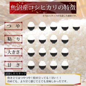 お試し価格 1000円ポッキリ 令和7年 魚沼...の詳細画像3