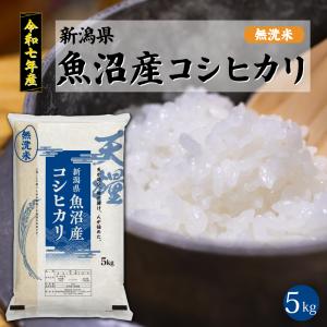 コシヒカリ 令和7年度 新米 新潟県魚沼産コシヒカリ5kg 白米 ご贈答