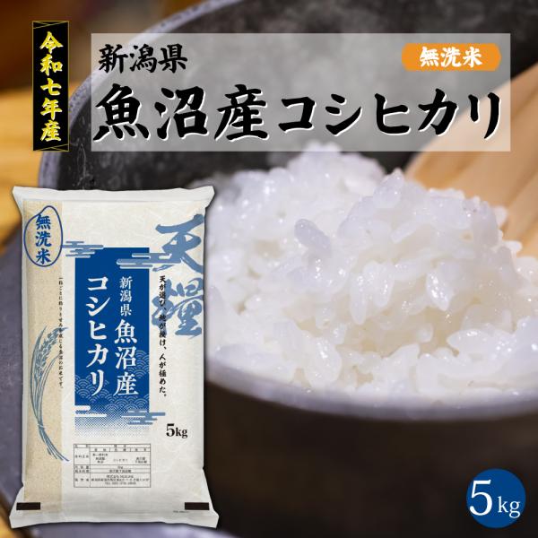 【新米】魚沼産 コシヒカリ 5kg 無洗米 新潟 令和7年産 一等米 天糧 新潟産 米 2025年 ...