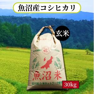 令和7年産 こしひかり コシヒカリ 爆買 玄米30kg 精米 茨城県産 白米