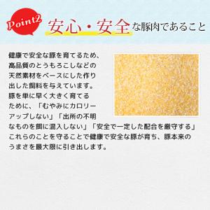 豚肉 バラ 肉 ブロック 嬉嬉豚 (約100g...の詳細画像3