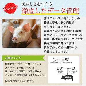 豚肉 バラ 肉 ブロック 嬉嬉豚 (約100g...の詳細画像4