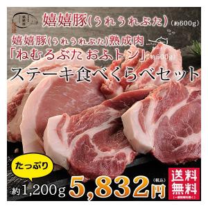 肉 ギフト ステーキ トンテキ メガ盛り 熟成肉 豚肉 おふトン・嬉嬉豚 食べくらべ（各100g×6枚 計12枚セット）