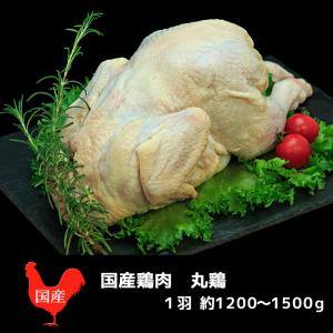 鶏肉 丸ごと 丸鶏 国産（１羽）クリスマス ローストチキン