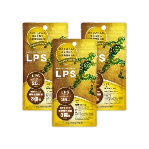 ☆新品 スリムビューティハウス エンザイム フローラ 発酵 エステ